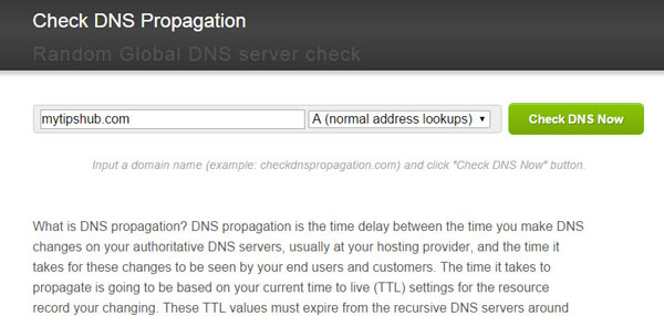 Check DNS Propagation