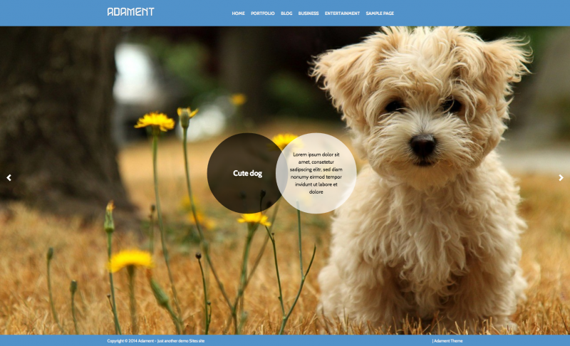 Adament wp theme