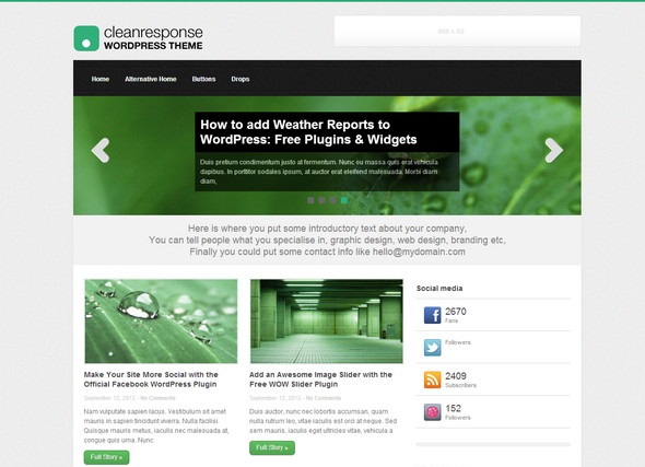 CleanResponse WP theme