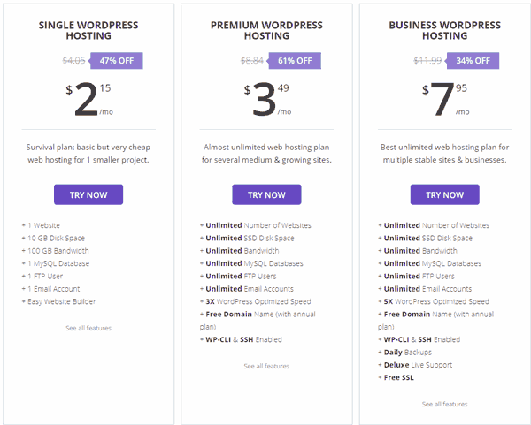 Wordpress Hosting hostinger