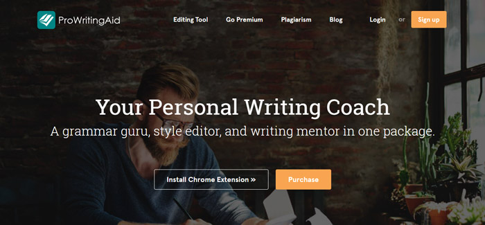 ProWritingAid premium grammarly alternative