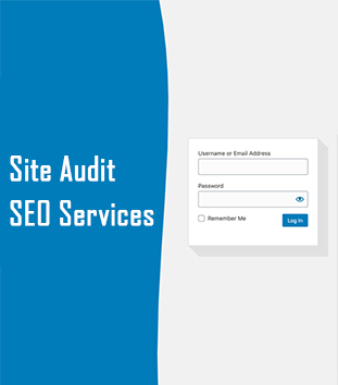 Site Audit SEO